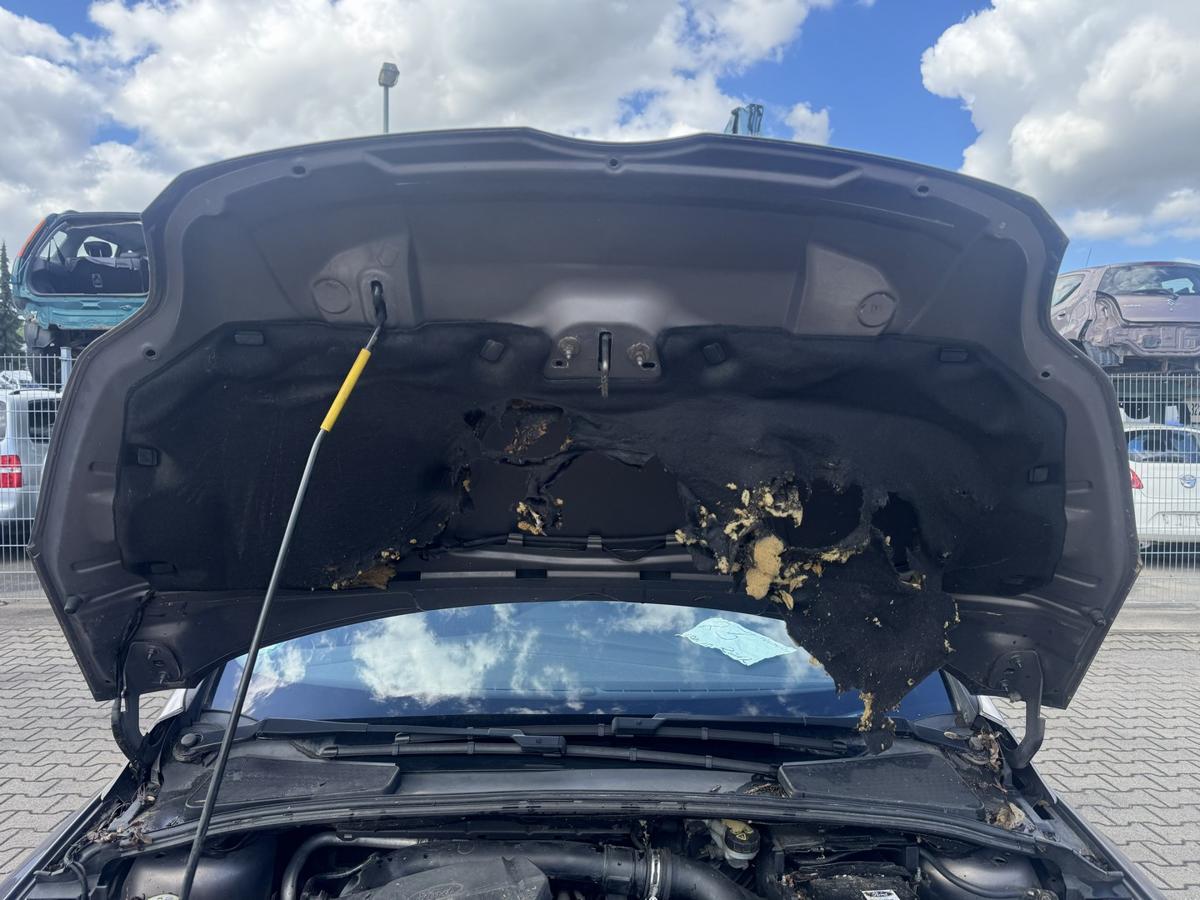 Ford Focus 3 original Motorhaube Brisbane Braun Bj.2012